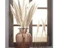 Venus Valink 15 Stück Binsenhalme, natürliches getrocknetes Pampagras, klein, Phragmites, künstliche Pflanzen, Blumenstrauß, Kunstblumen für Zuhause, Geschäft, Hochzeit, Party, Dekoration beige