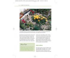 Kakteen und Sukkulenten: Die schönsten Arten pflegen und vermehren