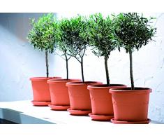 Elho Algarve Cilindro 35 - Blumentopf - Tonrot - Draußen - Ø 34.5 x H 29 cm