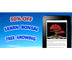 Easy Bonsai Tree For beginners - Best How To Grow Bonzai Plants Tips & Care Instruction UCC Videos, Start Today!