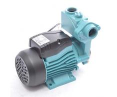 Kreiselpumpe Gartenpumpe WZI250-250 Watt 2100 L/h 3,5 bar