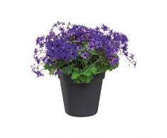 elho green basics anzuchttopf 40cm Blumentopf - lebhaft schwarz