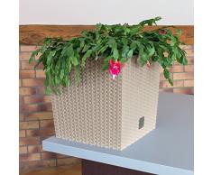 Prosperplast Blumentopf Rato Low (Rattanoptik, herausnehmbarer Einsatz, 32x32x32,5 cm, 32 l, mocca) DRTS325L-7529U
