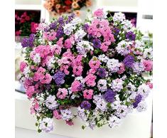 AIMADO Samen-20 Pcs Verbenen-Mix Samen,Überreiche Blüten in herrlichen Pastelltönen,Blumensamen mischung Bienenfreundlich für Balkon&Terrassenpflanze, Kübelpflanze