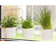 Kräuterleiter Pflanzenleiter Kräutergarten VEGA weiß Fenster- und Wandmontage