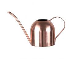 Cestbon Edelstahl Gießkanne Giesskanne Blumengießkanne Metall Für Zimmerpflanzen Gartengießkanne Blumenkanne 1 Liter Blumengießer Goldener Langer Mund Kleine Für Die Balkon Gartenarbeit Garten,Gold