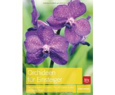 Orchideen für Einsteiger: Die wichtigsten Gruppen · Die schönsten Sorten · Die beste Pflege