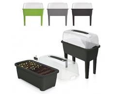 Hochbeet Anzuchttopf Blumentopf Frühbeet Gewächshaus Blumenkasten 3 Farben von rg-vertrieb (Grün)
