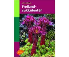 Freilandsukkulenten: Hauswurz, Fetthenne & Co.