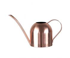 Edelstahl Gießkanne 1l 500ml Giesskanne Blumengießkanne Metall für Zimmerpflanzen Gartengießkanne Blumenkanne 1 Liter Blumengießer Goldener Langer Mund Kleine für Die Balkon Gartenarbeit Garten