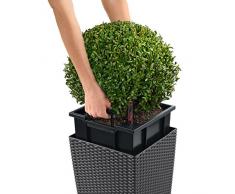 LECHUZA CUBE Cottage 40 Pflanzgefäß mit Erd-Bewässerungs-System, Mokka, 40 x 40 x 40 cm