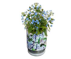 Monsterzeug Dosenpflanze, Vergissmeinnicht, Mini Pflanzen, Dosenblumen, Blumen aus der Box, Pflanzen aus der Dose