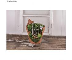 Rayher 46063102 Rankbogen mit Türen, 8x15x3,7cm, SB-Btl 1Stück, weiÃŸ