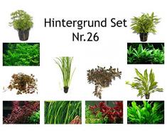 Hintergrund Set mit 6 Tropica Topf Pflanzen Aquariumpflanzenset Nr.26 Wasserpflanzen Aquarium Aquariumpflanzen