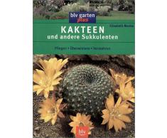 Kakteen und andere Sukkulenten