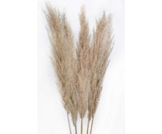 PRsellings Pampasgras naturbeige und weiß, natürlich getrocknet - vom Hochzeits-Trend zum Interior-Liebling! (Natur)
