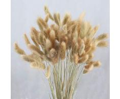 HUAESIN 100pcs Getrocknete Pampasgras Natürliche Trockenblumen Blumenstrauß Getrocknete Blumen Pampasgras Deko für Hause Hochzeit Party Hotel Vase Terrarium Bodenvase Hell Braun