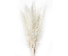 Yiweeo 15 Stück getrocknete kleine Pampasgras Phragmites Communis Dekoration für Home Hotel Hochzeit(Weiß)