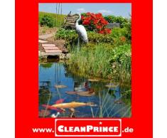 3 x 1 Liter = 3 Liter CleanPrince Teichrein Algenfrei 1000 ml Algenvernichtung Blaualgen Braunalgen Teichreiniger Algenreinigung Teich Reiniger Teichklar Algenentferner