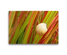 Premium Textil-Leinwand 75 x 50 cm Quer-Format Rote Rutenhirse | Wandbild, HD-Bild auf Keilrahmen, Fertigbild auf hochwertigem Vlies, Leinwanddruck von Ilona Andersen