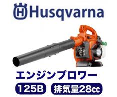 Husqvarna | Laubbläser | Blasgerät | Modell: 125B | Effizienter, Handgeführter Benzin-Laubbläser