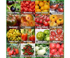 Tomaten Saat Set 16 x 10 Saatgut Tomaten Mix 100% Natursamen handverlesen aus Portugal, seltene und alte Sorten, Samen mit hoher Keimrate, Tomatensamen für Garten, Balkon, Terrasse, Gewächshaus