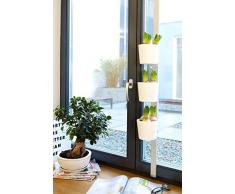 Willys-Fachmarkt Kräuer-und Pflanzenleiter Vega in weiß für Fenster