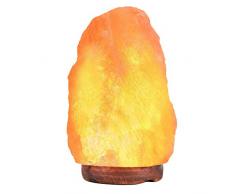 FZYUAN Source Himalaya Salzlampe Mit Drehschalter-Luftreiniger Salzlampe- Reines Naturprodukt - Handgefertigt Auf Holzständer-Meditation,Yoga,Schlafzimmerlampe Licht (2-3 Kg)
