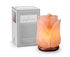 daplomb Natürliche Himalaya-Salzlampe