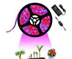Tesfish 12V LED Pflanzenlicht Pflanze Wachsen Licht Streifen 5M mit Netzteil und Dimmer, Wasserdichtes Vollspektrum SMD 5050 Rot Blau 4: 1 Pflanzen Grow Licht für Zimmerpflanzen Aquarium Pflanze