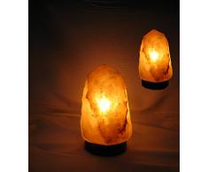 2er Set Biova Salz Kristall Stein Lampe Salzlampe Leuchte ca. 2,5- 3,5 kg in 1A Qualität