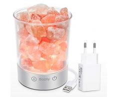 Bozily Himalaya Salzlampe, Nachttischlampe mit Bluetooth Lautsprecher, Berühren Sie Dimmer, natürliches Hymalain Pink Rock Lampen für Yoga, Therapie, Dekoration, Geschenk