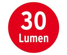 Brennenstuhl LED-Wand- und Pfostenleuchte / Außenleuchte mit Bewegungsmelder (Wandleuchte außen IP44 mit 2 LEDs, 30 Lumen + Akku) Farbe: silber