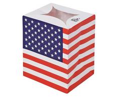 Everflag Deko-Lichttüte USA
