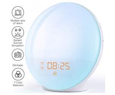 Wake Up Licht Lichtwecker - Sonnenaufgang Sonnenuntergang Simulation Wecker mit zwei Alarmen, 20 Helligkeit, Schlummerfunktion, 7 natürlichen Klängen und UKW-Radio für Erwachsene & Kinder