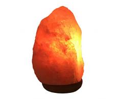 FZYUAN Himalaya Salzlampe Mit Dimmschalter - Reines Naturprodukt - Handgefertigt Auf Holzständer, Meditation, Yoga, Schlafzimmerlampe Licht (2-5KG),3kg/5kg