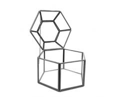 KINTRADE Klarglas & Messing-Metall Metall Klappdeckel Terrarium Box Tischvitrine