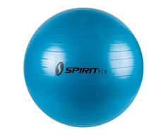 Spirit Gymnastikball Ø 55 Sitzball Fitnessball Yogaball Bürostuhl Ball + Pumpe