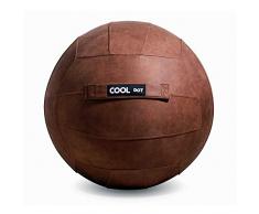 COOLDOT Yoga Ball für Erwachsene Sitzball Stuhl mit Cover & Griff inkl. Trainingsball und Pumpe für Zuhause, Büro, Pilates, Yoga