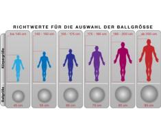 POWRX Gymnastikball | Sitzball | verschiedene Größenvarianten (45 cm)