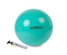 Ledragomma Pezzi Ball Standard 65 cm grün Gymnastikball Sitzball inkl. Original Pezziball Pumpe