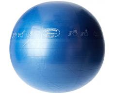 Carnegie Gymnastikball Ø 65 cm Massageball Fitnessball Sitzball 300 kg + Pumpe