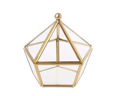 VIccoo Vintage dekorative Schmuck Truhe geometrische Terrarium Fenster Aufbewahrungsbox Vitrine Pentagon Form Klarglas und Messing Ton Air Plant Pflanzer