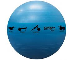 Prism Fitness 65cm, Green Smart Self-Guided Stability Ball - Exercise Ball for Exercise, Yoga, Pilates, Office Ball Chair and More, 13 Exercises Printed on Ball for Easy Reference