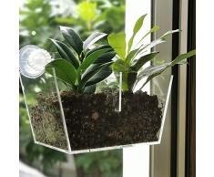 NIUXX Acryl Fenster Pflanzgefäße, kreative Blumentopfhalter Pflanzen Tablett Regal mit Saugnapf, große Outdoor Indoor dekorative Geschenk für Zuhause (M 20x10x13cm)
