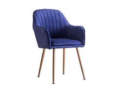 JIEER-C Ergonomischer Stuhl Esszimmerstuhl Komfortabel; Samtkissen Metallbeine Wohnzimmerstühle Abnehmbarer und waschbarer Bezug Frisierstühle Freizeitstühle Schlafzimmer 45 × 44 × 85 cm