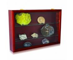 Sammelvitrine Holz mahagony: Format ca. 62 x 42 x 10 cm