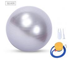ruick Gymnastikball, Yoga Ball, Gebären Ball (55–75 cm) mit Quick Pumpe, Anti-Burst & Extra dicke, schwere Pflicht Ball Chair Stabilität Ball unterstützt 1100lbs (Office & Home), silber, 55 cm