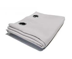 Victoria M. Aurora Verdunkelungsvorhang Blickdicht, Thermovorhang, Ösenvorhang, Schallschutz Vorhang 140 x 245cm, Silber-Weiss, 2er Pack