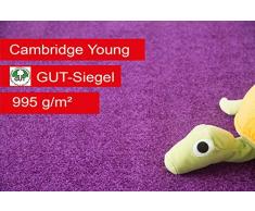 Steffensmeier Teppichboden Cambridge Young Meterware | Auslegware für Kinderzimmer Wohnzimmer Schlafzimmer | Lila, Größe: 300x500 cm